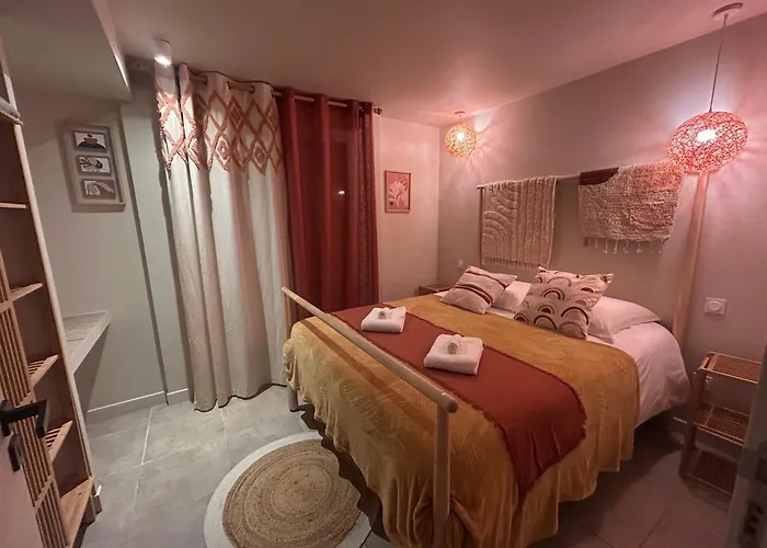 Bas De La Sablhyeres- 300m De La Capte - 2 Hebergements Disponibles * Hyères