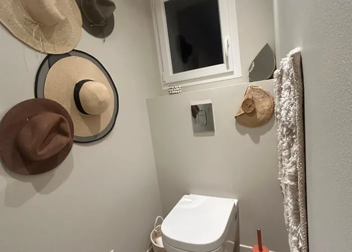 بيت للعطل Bas De La Sablhyeres- 300m De La Capte - 2 Hebergements Disponibles *