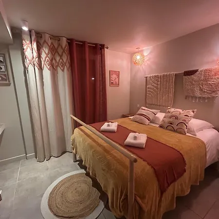 Villa Avec 200M De Jardin Prive La Sablhyeres * Hyeres