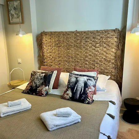 Villa Avec 200M De Jardin Prive La Sablhyeres Holiday home Hyeres