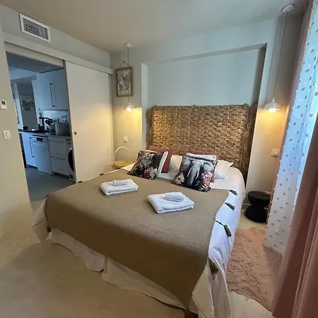 Villa Avec 200M De Jardin Prive La Sablhyeres Holiday home Hyeres