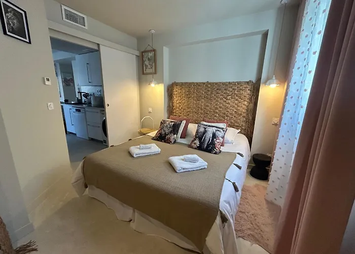 Bas De La Sablhyeres- 300m De La Capte - 2 Hebergements Disponibles Holiday home Hyeres